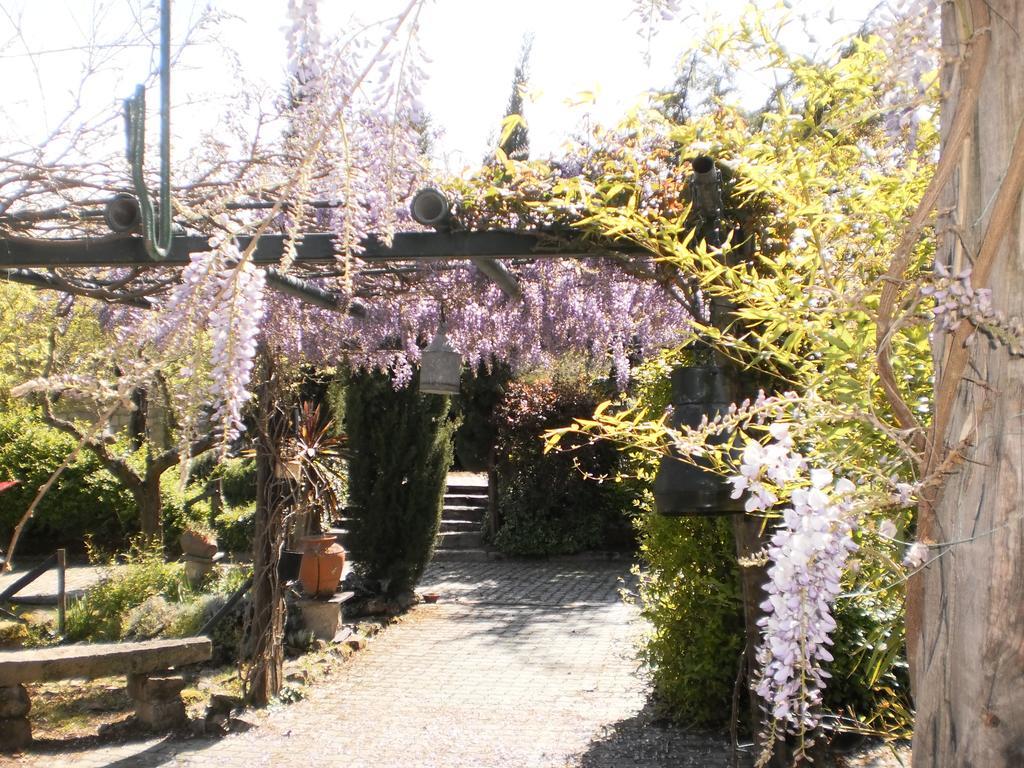 Casa Do Redondo Bed & Breakfast Rabacal Exterior photo